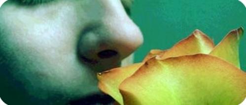 Como escribir con la nariz (I)