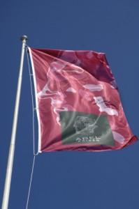 John Milnor, Premio Abel 2011