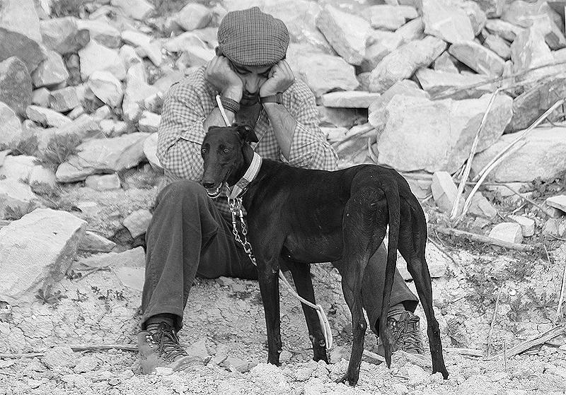 Los galgos ahorcados           por Rafael Narbona        ...