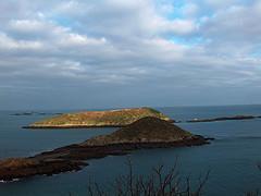 Retinopatía diabética