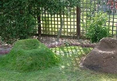 Sillas de jardín de pasto