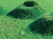 Sillas jardín pasto