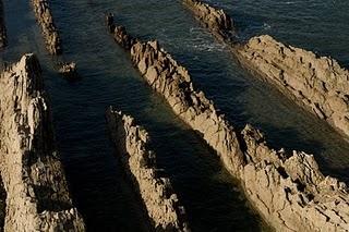 PIELAGOS, GRANDE POR NATURALEZA