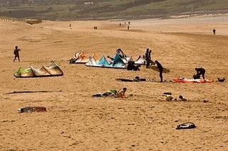 PIELAGOS, GRANDE POR NATURALEZA