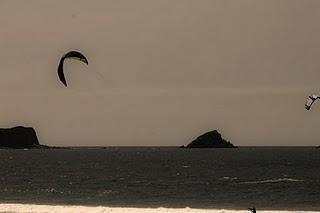PIELAGOS, GRANDE POR NATURALEZA