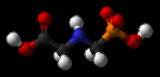 El glifosato NO produce malformaciones. Confirmado científicamente