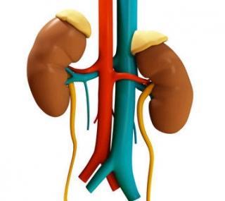 Diagnóstico: I.R.C (Insuficiencia Renal Crónica)