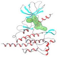 Ponatinib - contra la resistencia mutaciones, incluyendo T315I