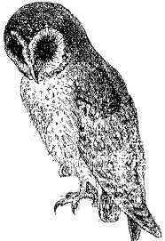 Un relato de vampiros, por Rubén Darío