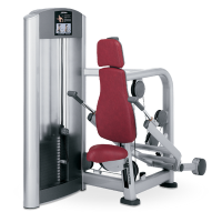 Mis máquinas de tortura (III): Hombro, bíceps y tríceps