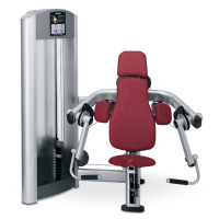 Mis máquinas de tortura (III): Hombro, bíceps y tríceps