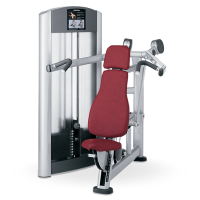 Mis máquinas de tortura (III): Hombro, bíceps y tríceps