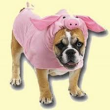 Diseño para ellos también Diseño para ellos también