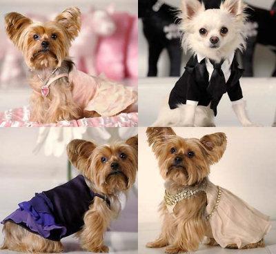 Diseño para ellos también Diseño para ellos también