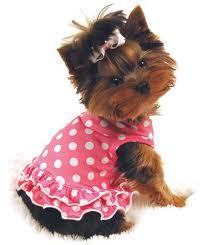 Diseño para ellos también