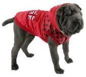 Diseño para ellos también Diseño para ellos también