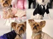 Diseño para ellos también