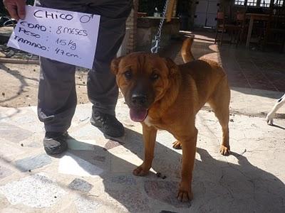 4º llamamiento para chico,absolutamente nadie se fija en el...