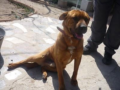 4º llamamiento para chico,absolutamente nadie se fija en el...