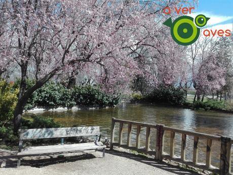 Están cerrados El Retiro y El Capricho, pero hay cien parques más abiertos