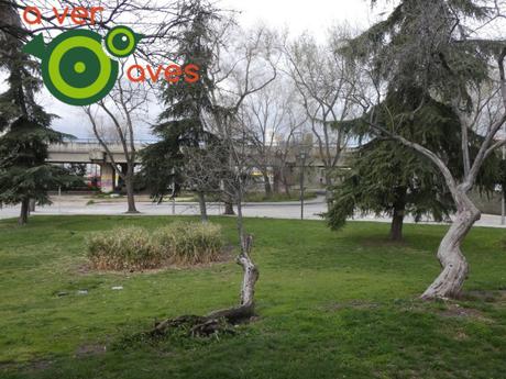 Están cerrados El Retiro y El Capricho, pero hay cien parques más abiertos