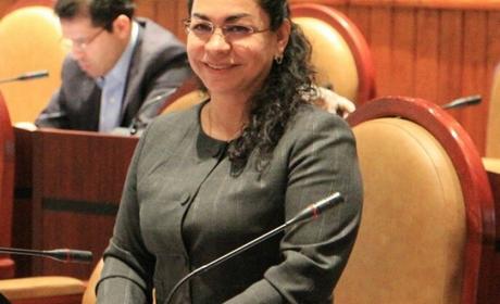 Es necesario promover beneficios de  la apicultura en Oaxaca: Laura Vignon