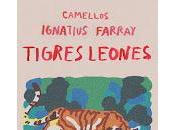 Camellos, Tigres Leones Ignatius Farray Sala