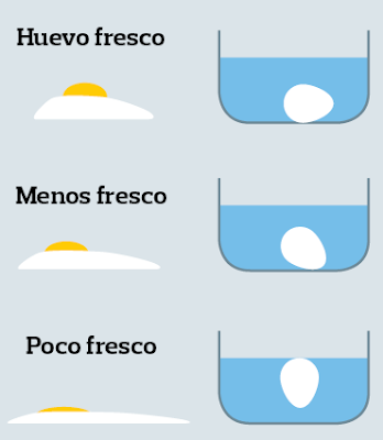 UN HUEVO QUE DA MUCHO JUEGO - QUÍMICA EN LA COCINA