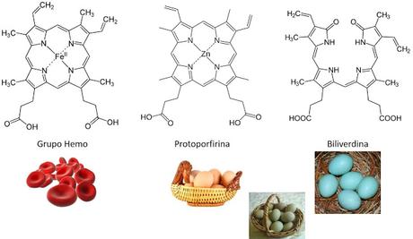 UN HUEVO QUE DA MUCHO JUEGO - QUÍMICA EN LA COCINA