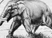 Mastodonte, Frederic Lucas