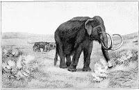 ¿Por qué se extinguen los animales?, Frederic A. Lucas ¿Por qué se extinguen los animales?, Frederic A. Lucas