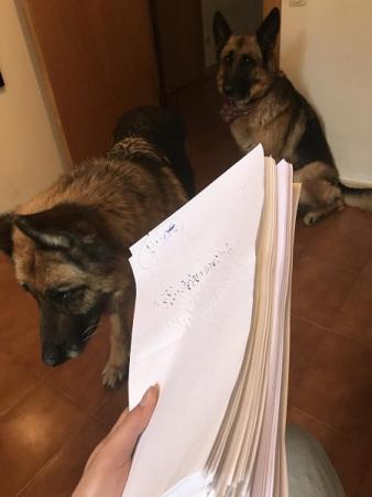 Terminé el borrador