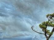 ¿Qué significa soñar viento?