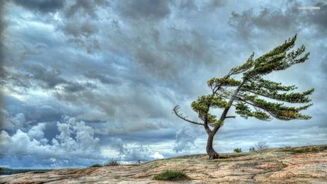 Soñar con viento