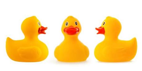 reporte de noticias: finde XL