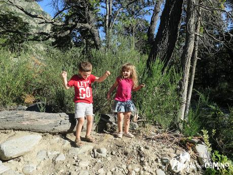 Cosas que voy a extrañar del Sur Cosas que voy a extrañar del Sur