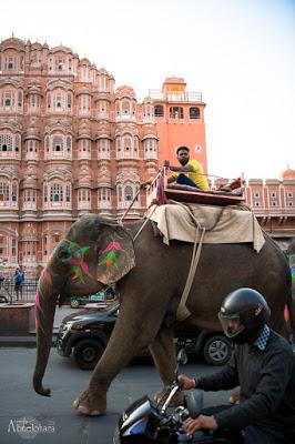 Viaje a la India II - Jaipur, la ciudad rosa