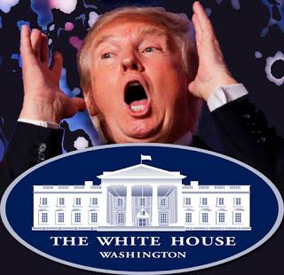 Probados rapaces anidan en la Casa Blanca