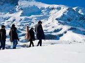 Novembre Elèctric están Crowdfunding