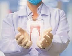 Mexicanos extraen células madre de los dientes para regenerar tejidos y órganos.