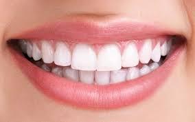 Mexicanos extraen células madre de los dientes para regenerar tejidos y órganos.