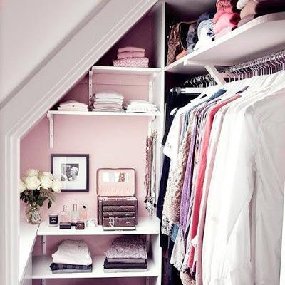 A la busqueda del clon