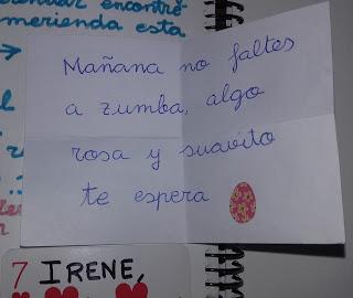 LIBRO VIAJERO DE IRENE