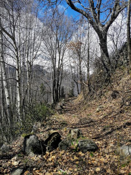 Hacer un árbol con unos muebles