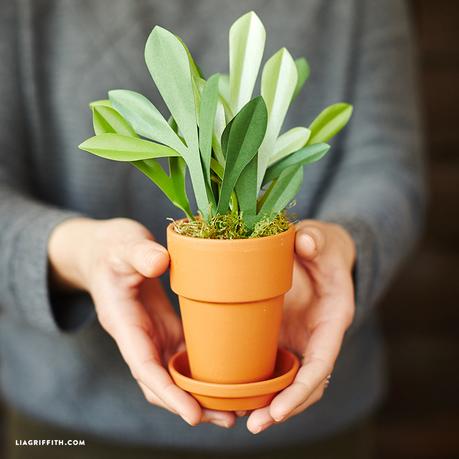 10 plantas hechas con papel: DIY