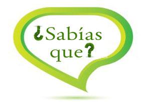 Cuida de tu presente porque en él vivirás el resto de tu vida Cuida de tu presente porque en él vivirás el resto de tu vida