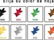 Test Hojas Colores