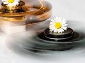 Autismo: Origen Emocional según Biodescodificación