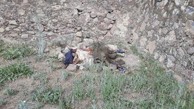 EN ESTADO DE PUTREFACCIÓN ES ENCONTRADO UN HOMBRE EN PARAJE DE LA EX HACIENDA DE REYES EN AXAPUSCO