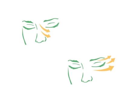 Manual de uso: Rodillo de jade. Manual de uso: Rodillo de jade.